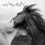 دانلود آهنگ تو اصلا حرفات رو مخ من نیستن از امیر تتلو